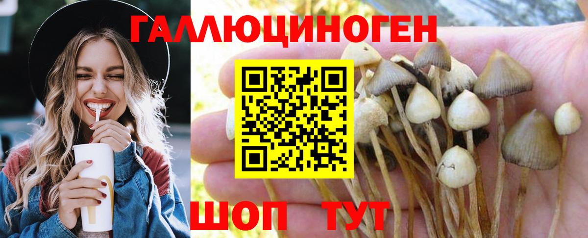 Галлюциногенные грибы мицелий Тайшет