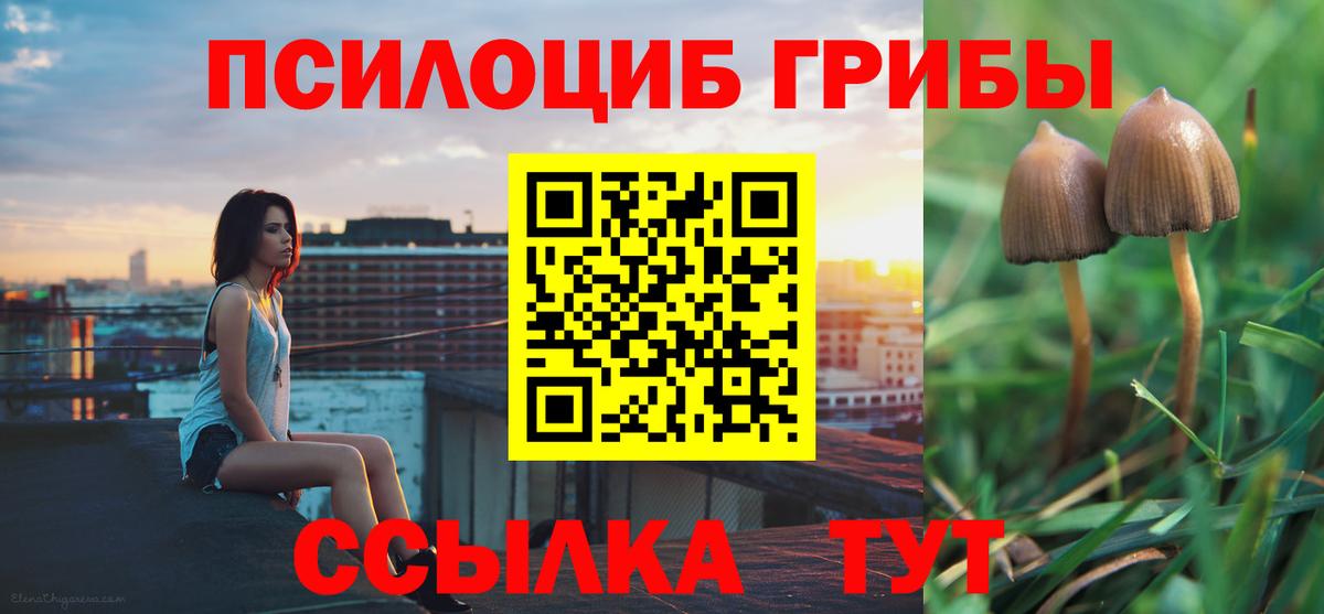 Псилоцибиновые грибы Magic Shrooms  Псилоцибиновые грибы мицелий  Вход с VPN  как найти наркотики  Тайшет 